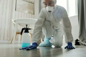 Professional Cleaning